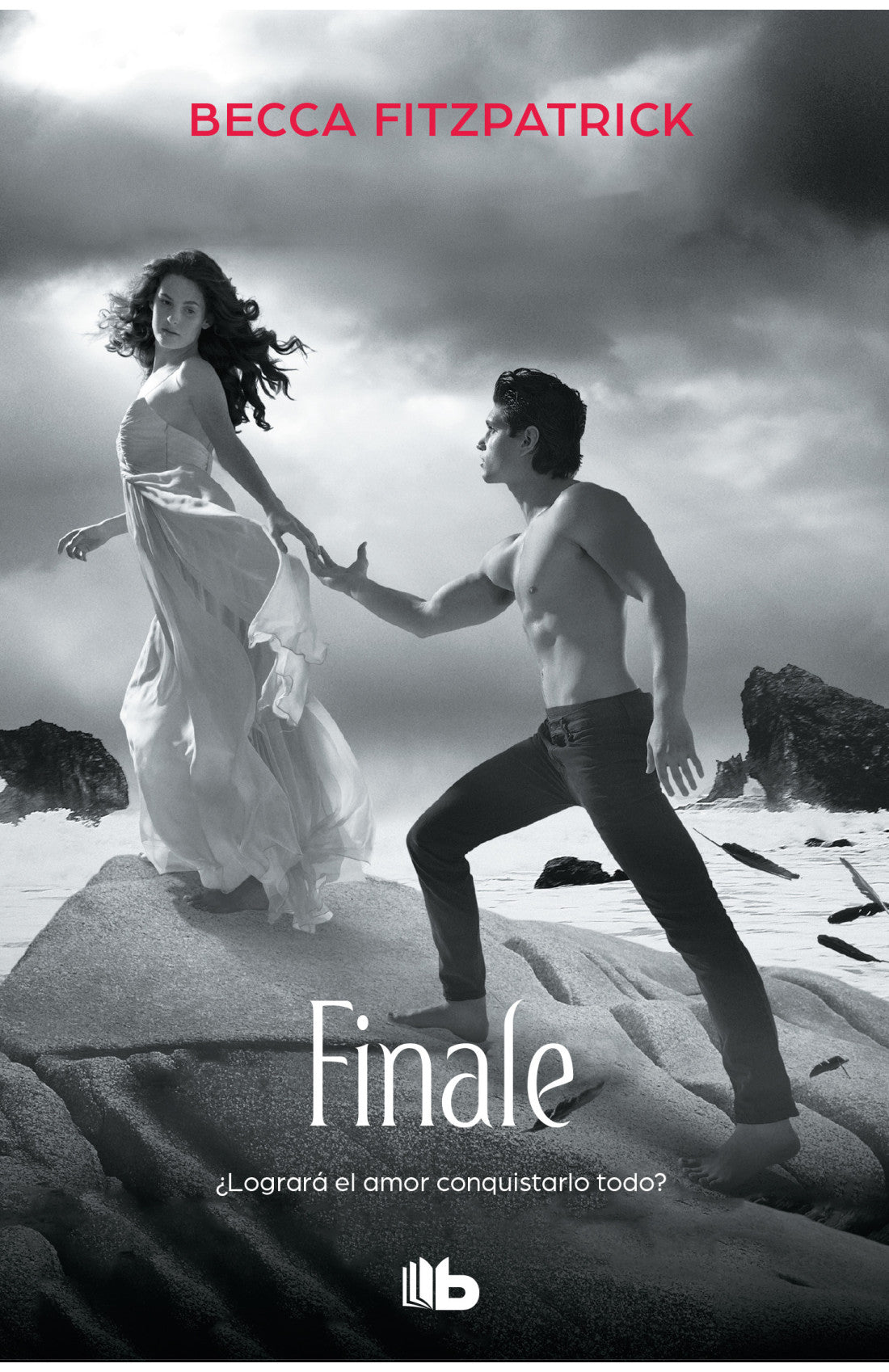 Finale (hush hush 4)