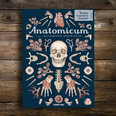 Anatomicum