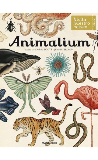 Animalium