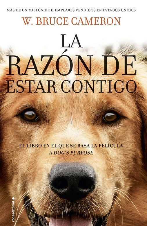 La razon de estar contigo 1
