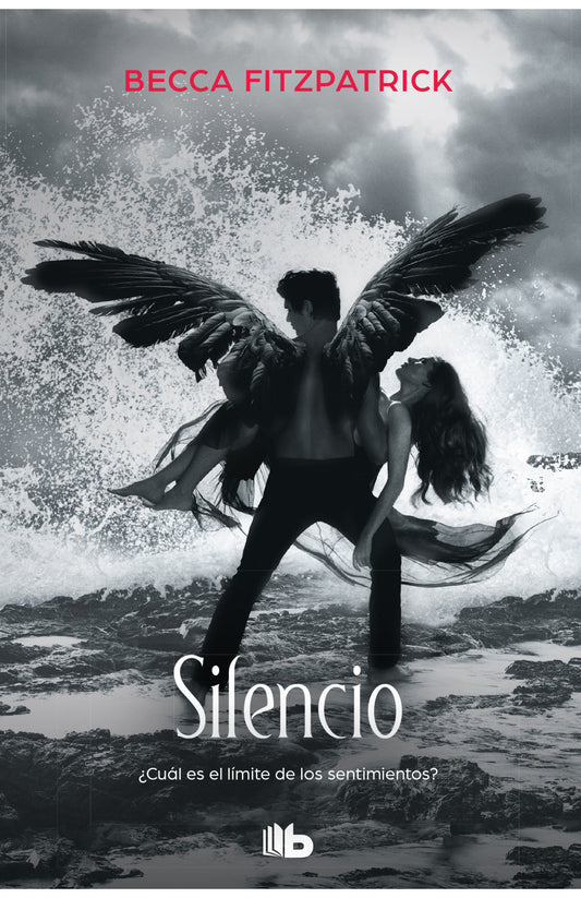Silencio (hush hush 3)