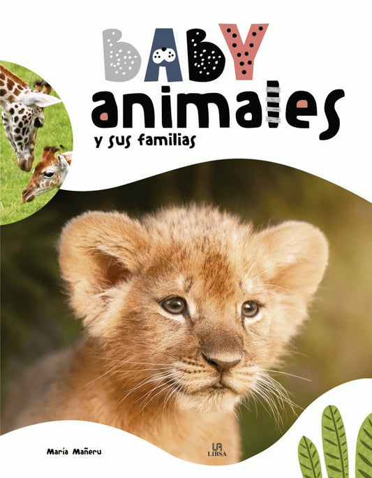 Animales bebes y sus familias