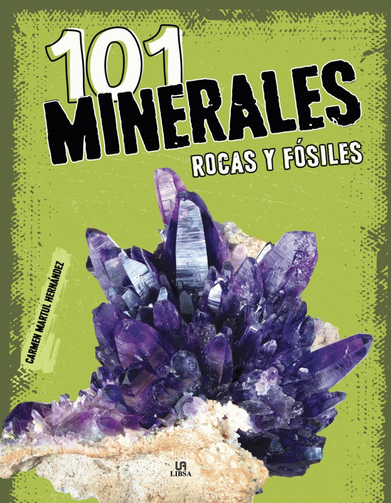 101 Minerales, rocas y fósiles