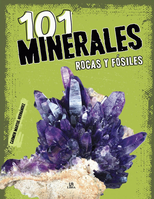 101 Minerales, rocas y fósiles