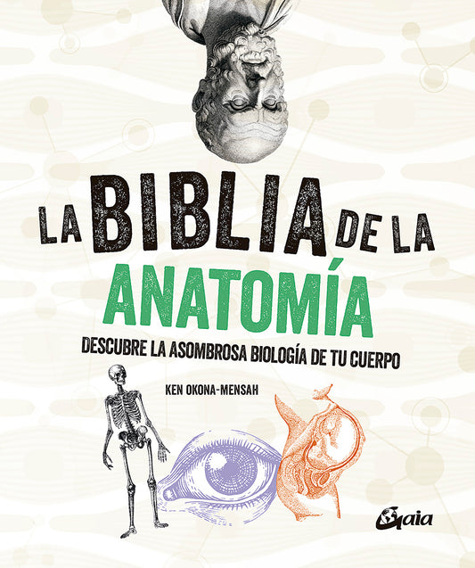 La biblia de la anatomía